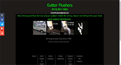 Desktop Screenshot of gutterflushers.com
